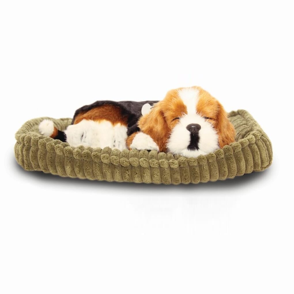 Perfect petzzz beagle sale