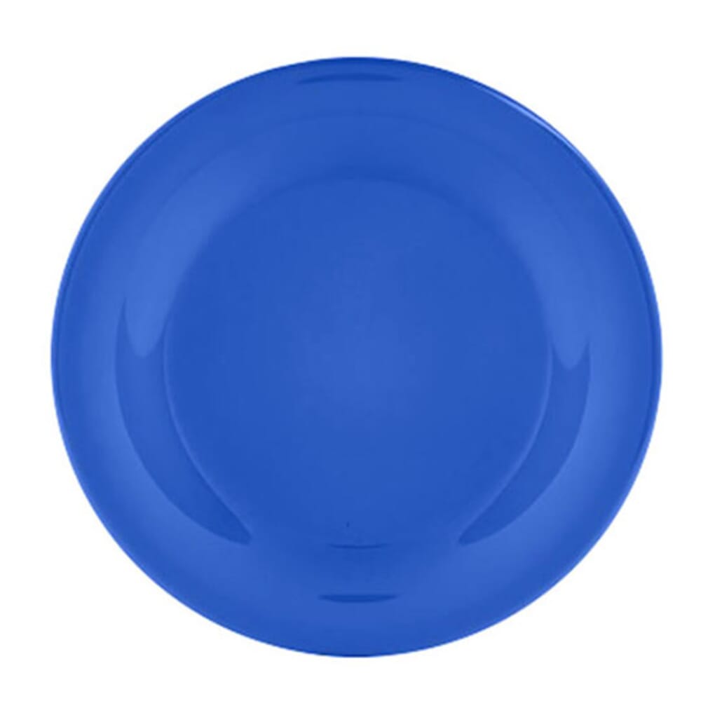 Melamine on sale plates blue