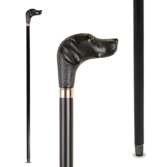Labrador Carved Walking Stick Complete Care Shop