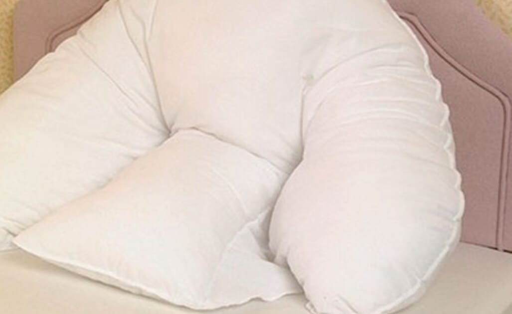 Batwing pillow and cover clearance