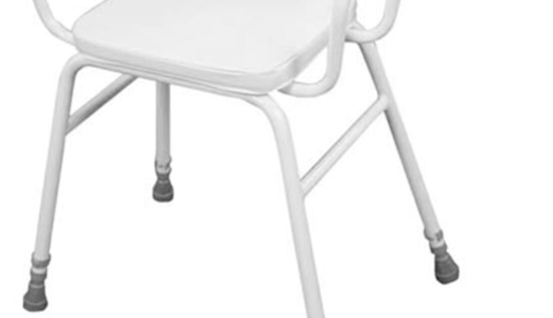 Perching Stool with Back and Arms Complete Care Shop